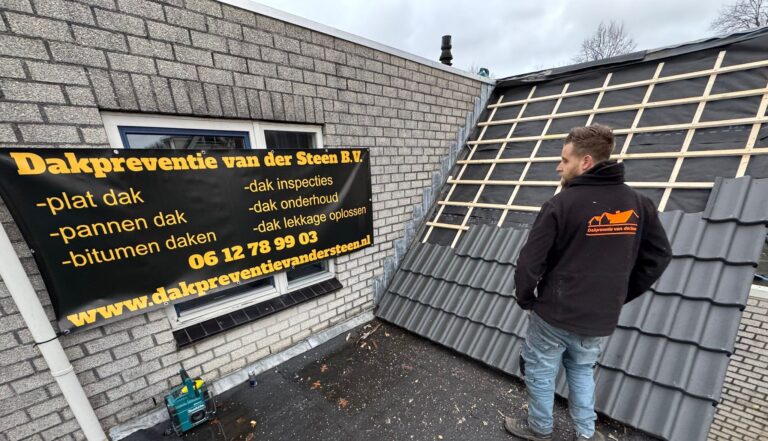 nieuwe pannen op dak 2